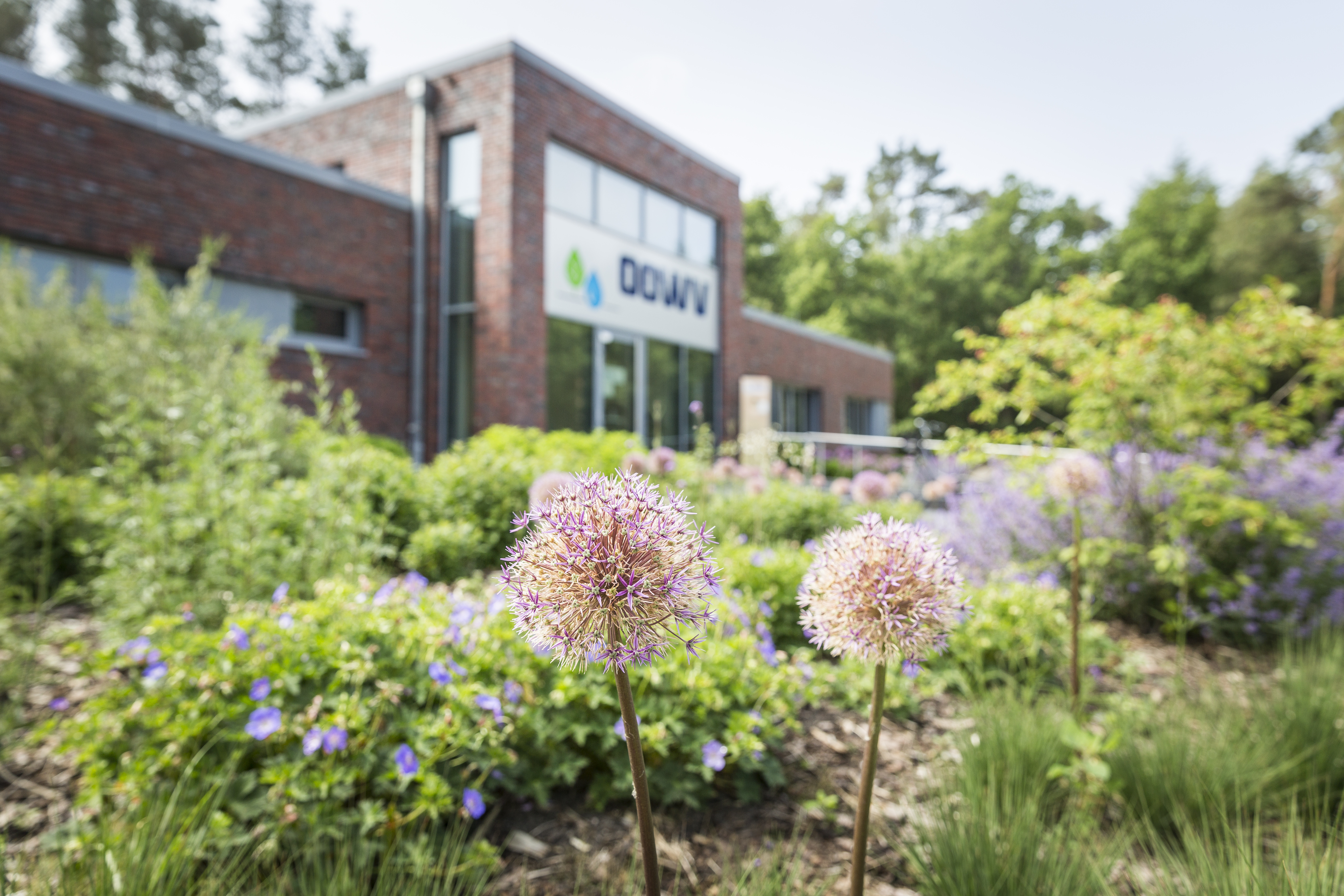 Ansicht OOWV Gebäude für Projekt Prozessoptimierung SAP ERP