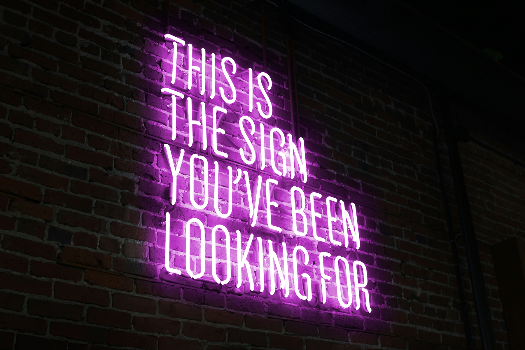Neon Leuchtschild mit Spruch auf englisch "This is the Sign you've been looking for"