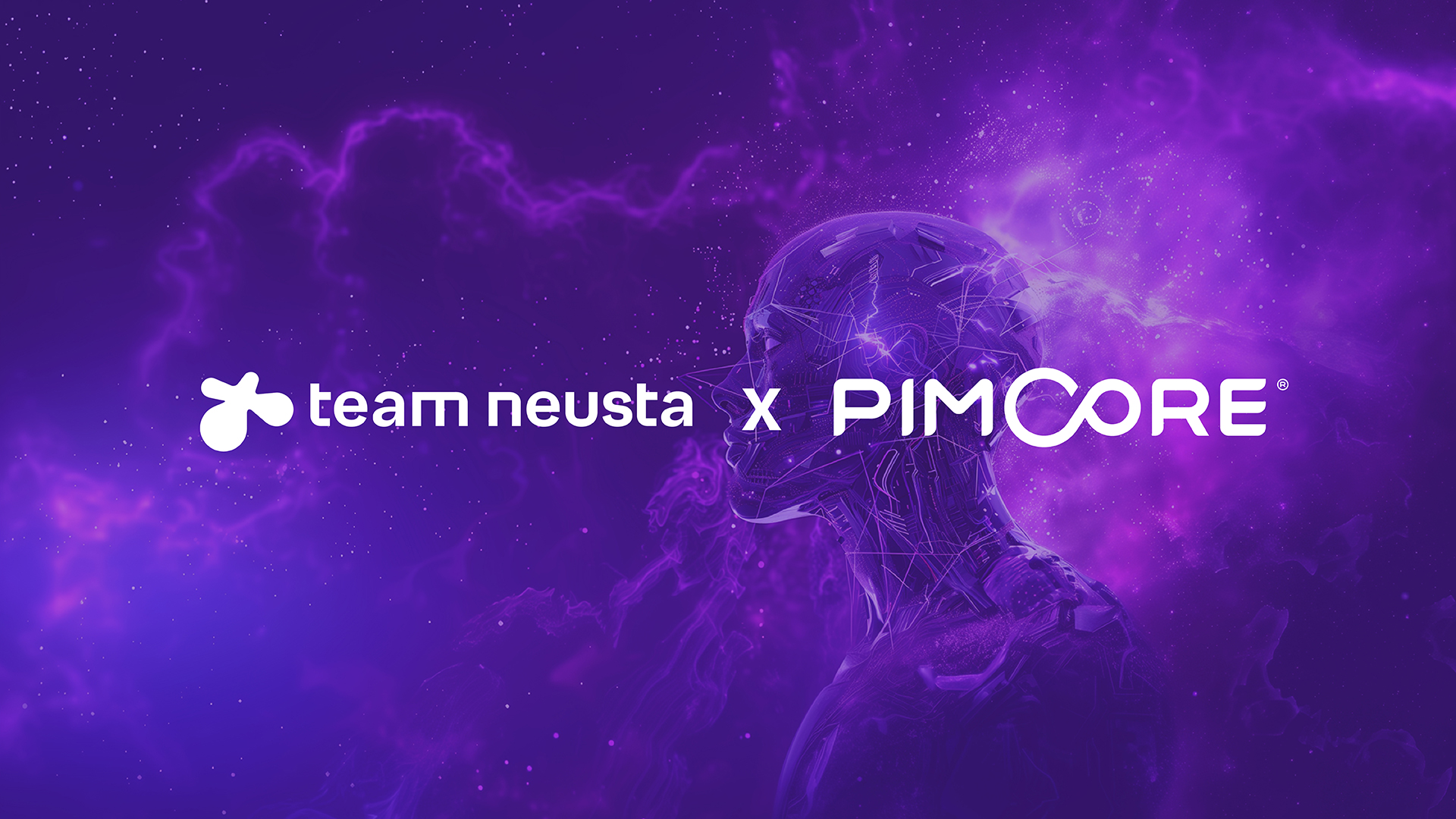 Pimcore x team neusta Partner 
