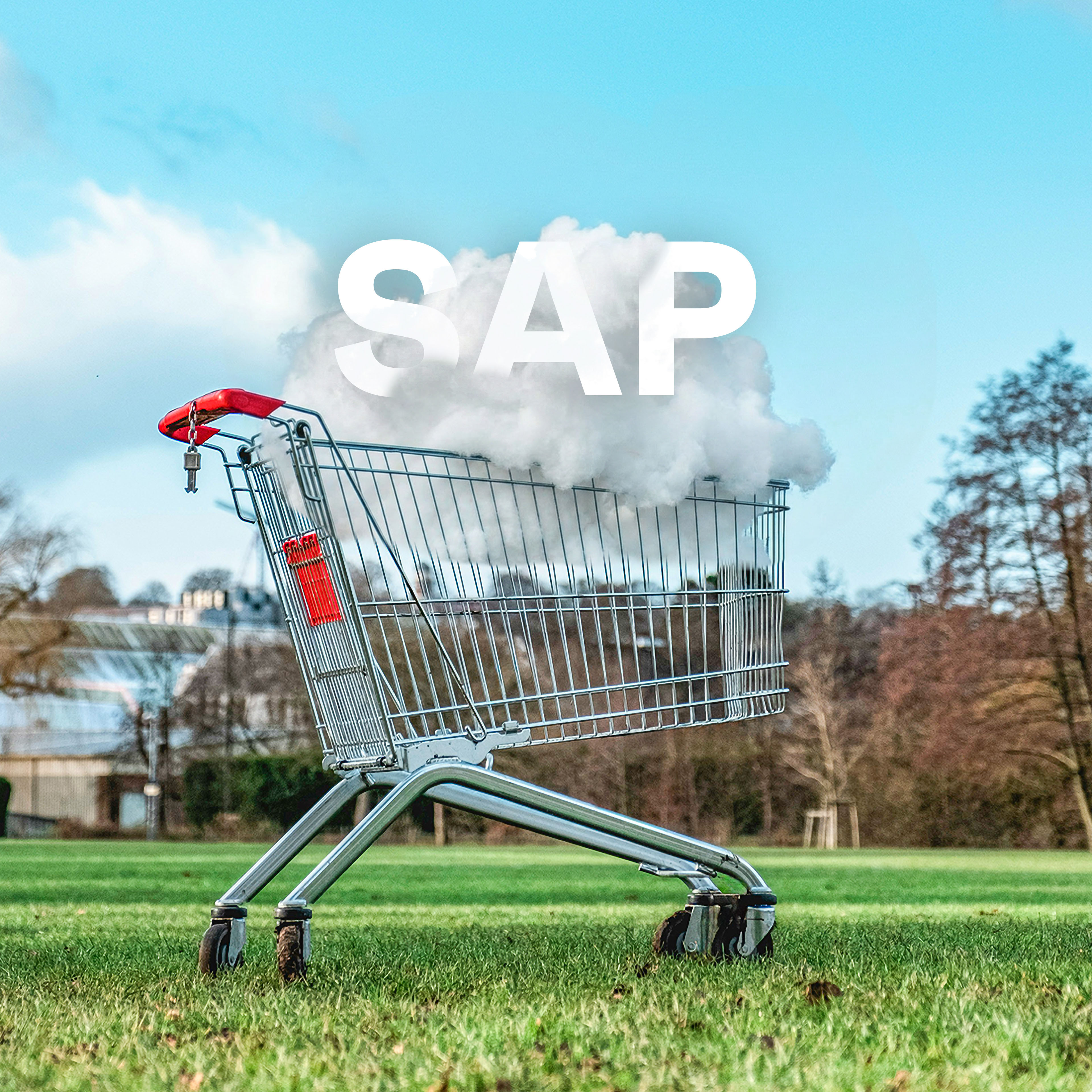 Einkaufswagen steht im Grünen in dem eine Wolke mit SAP steht