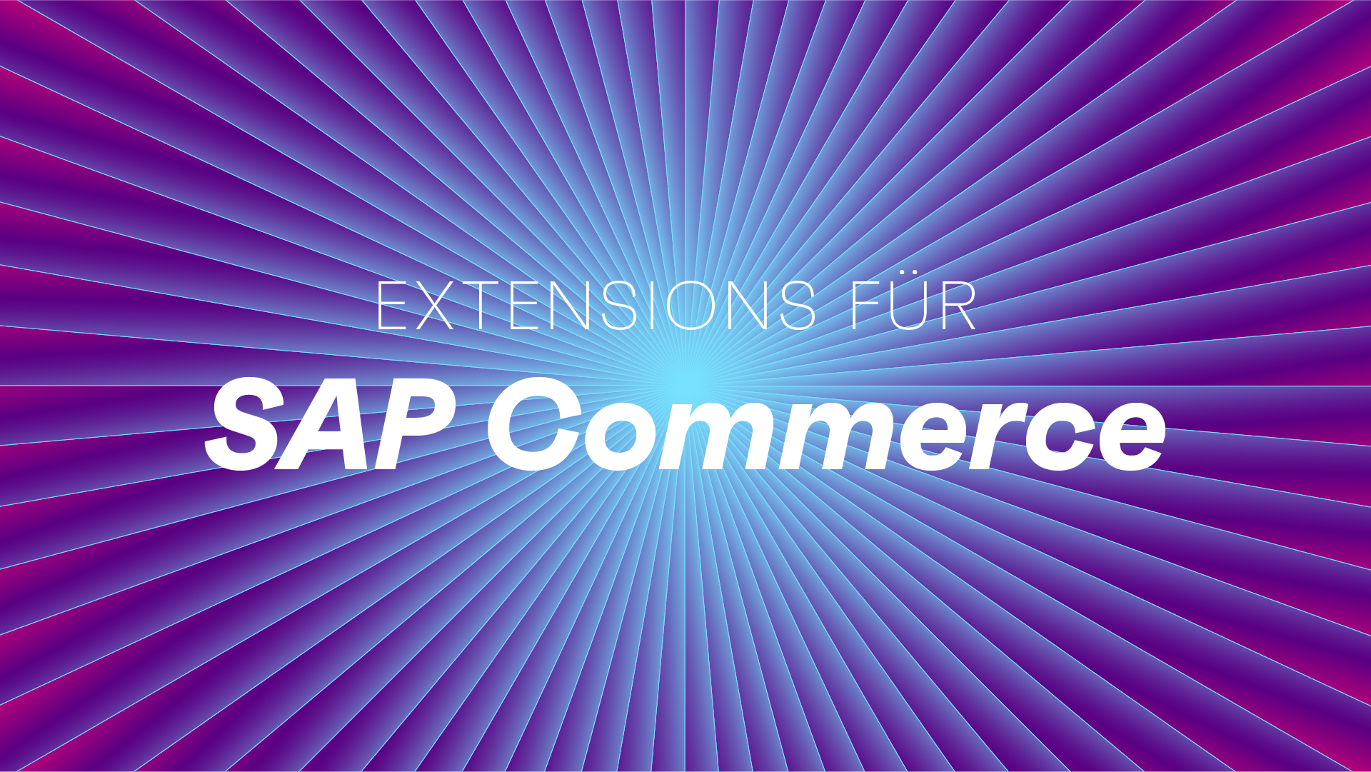 Illustration Extensions für SAP Commerce von team neusta