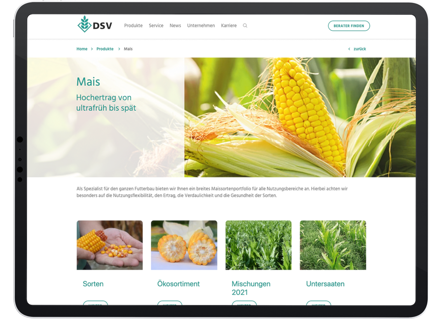 Ansicht Tablet auf Website UX-Design Deutsche Saatgutveredelung