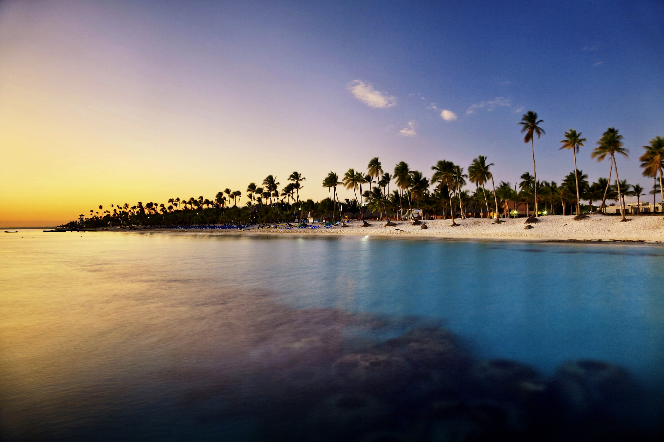 Imagebild Strand mit Meer und Palmen für Case SAP-Einführung bei TUI